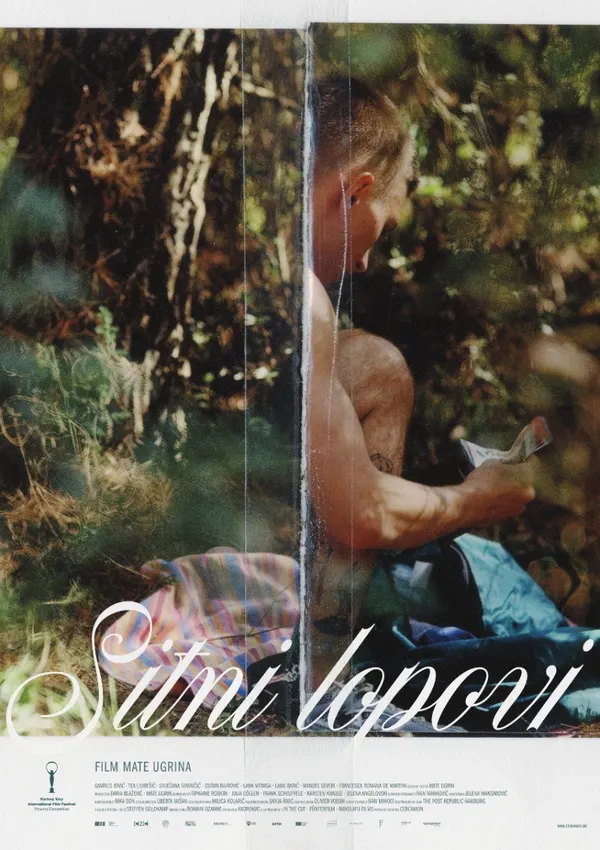 Smulkūs vagišiai