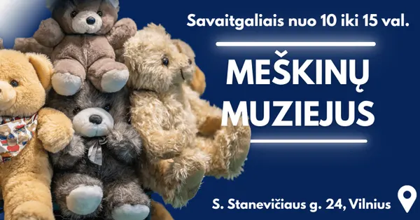 Meškinų muziejuje "PLUSHY B 55"