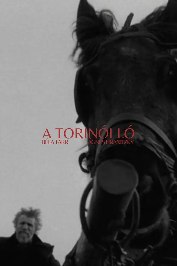 Turino arklys