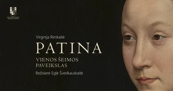 Patina | VŠDT