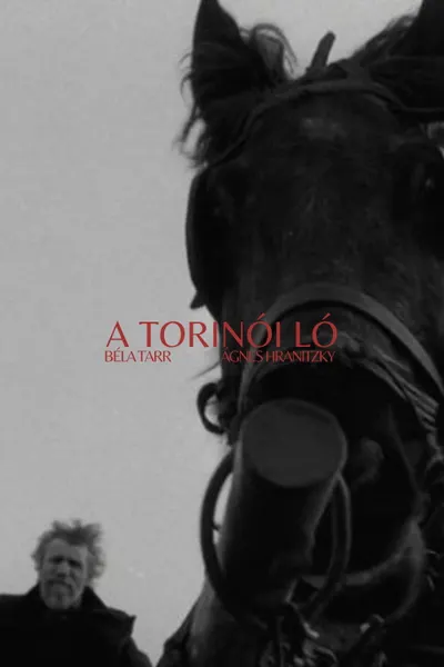 Turino arklys