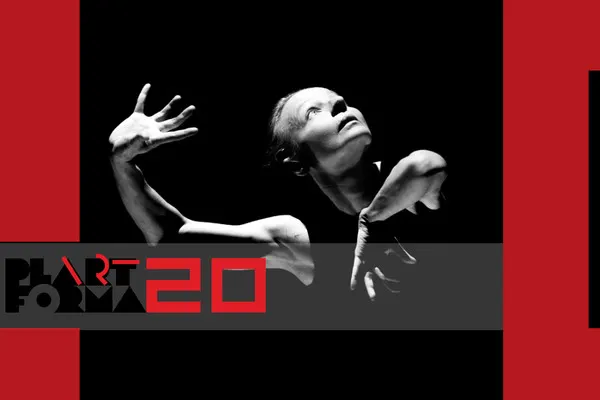 Klaipėdos lėlių teatras, Šeiko šokio teatras (Lietuva)