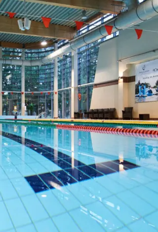 Rokiškio baseinas