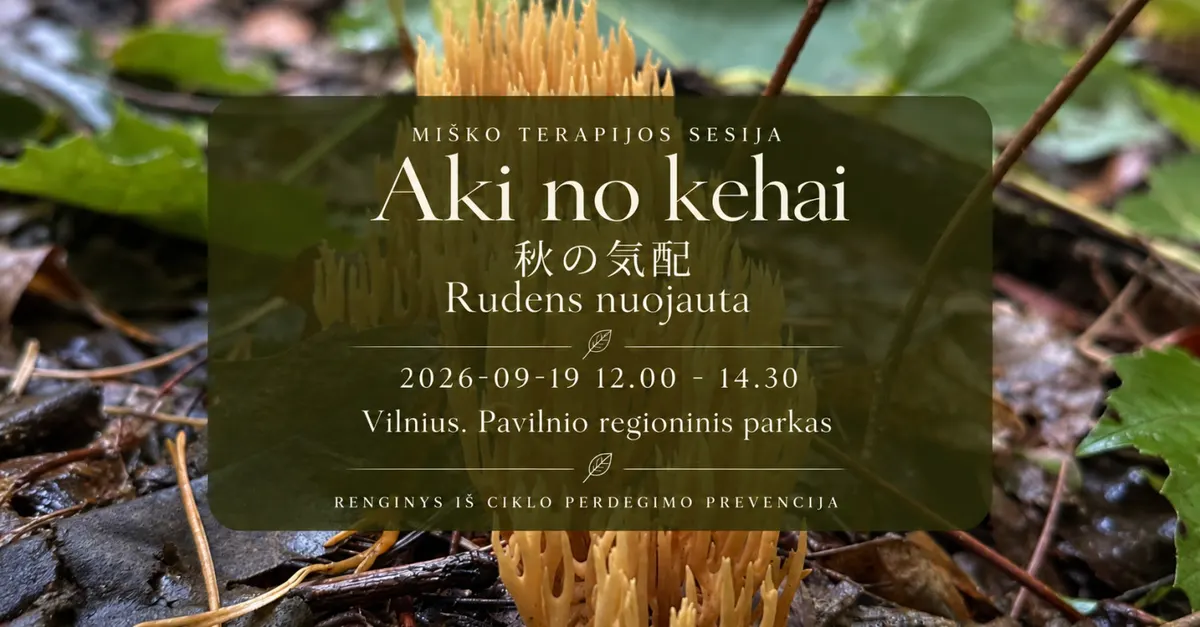 Miško terapijos sesija: Aki no kehai | Rudens nuojauta