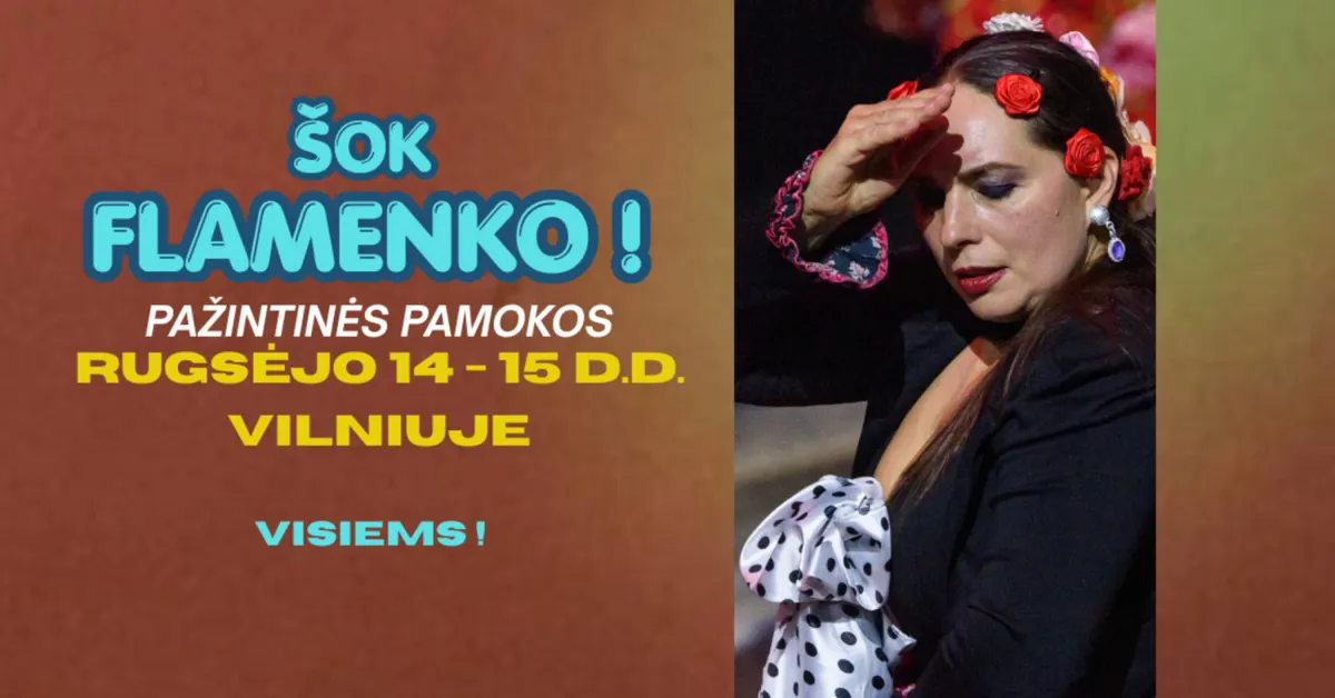 Šok Flamenko | Pažintinės pamokos