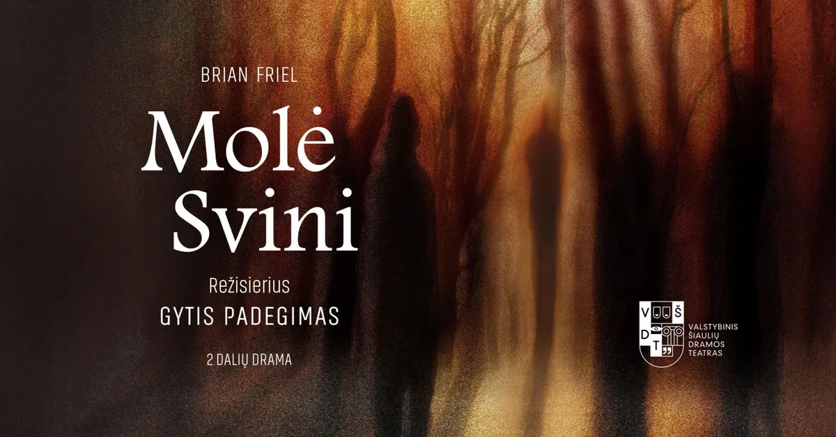 VŠDT | Molė Svini | rež. Gytis Padegimas